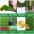 Import 30/35mm Artificial Grass Garden Natural PP+PE Artificial Turf grass wall from China