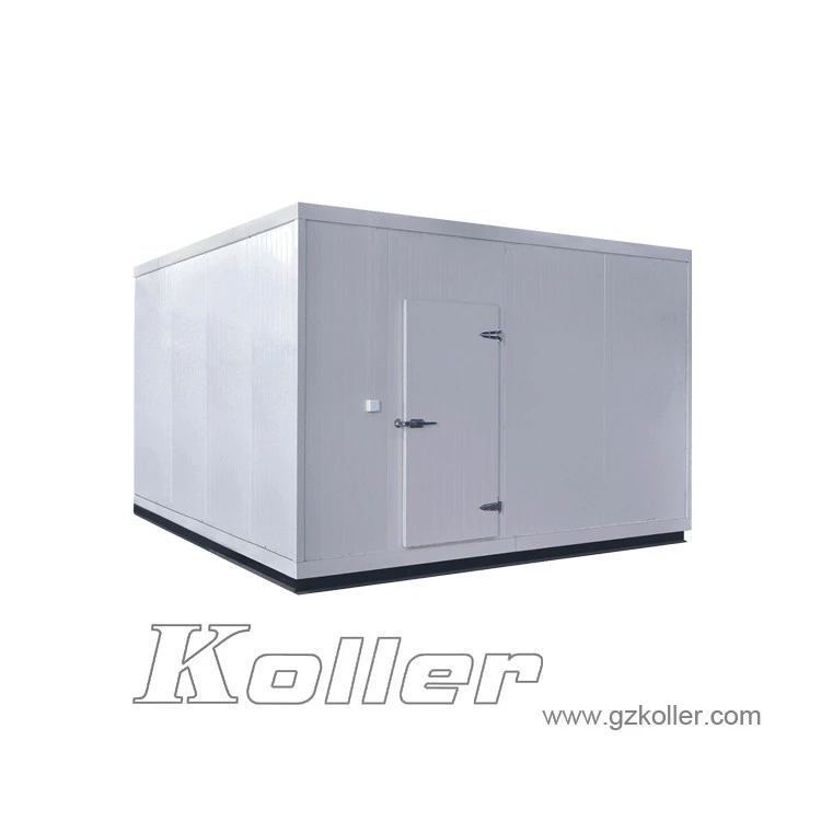 30tons daily storage cold room freezer for store project