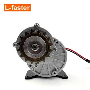 350W Electric Bike Motor MY1016Z3 With 16T Flywheel Sprocket And Brush Controller
