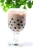 Import 3kg 2.5 TachunGhO Boba bubble pearl milk tea supplier from Taiwan