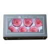 5-6cm   hot sale fresh roses cut flowers import from China