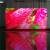 Import 8x12 screen hd 4k video display wall pcb rgb p1.5 indoor led panel from China