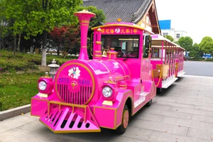 Adult Amusement Park Rides Kids Outdoor Electric Tourist Train With 42 Seats