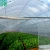 Import Agriculture Poly Film green house from China