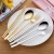Import Amazon Best Selling Outdoor Portable Stainless Steel Flatware Sets Spoon fork chopsticks  with Case Travel Camp Cutlery from China