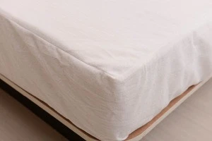 Anti Bed Bug Mattress Cover,Waterproof mattress protector,Mattress Encasement