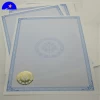 Art Paper Paper Type and Hot Stamping Surface Finish certificate