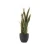 Import Artificial Plant with plastic pot for home decor decorative plant from China