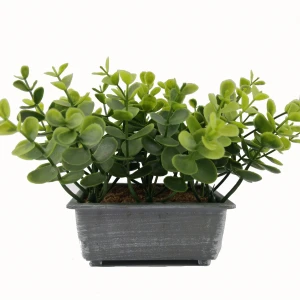 Artificial shrub plant filling indoor and outdoor family artificial money leaf