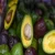 Import Avocado BEST PRICE of Hass Fresh Avocado/ Organic from Germany