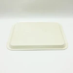 Bamboo Fiber Eco Food Serving Tray With Wood Decal Printing