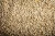 Import Barley for Malt, Barley Feed, Malted Barley Animal feed Supplier/Wholesaler from Ukraine