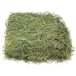 best affordable price quality Alfalfa Hay for sale at Animal Feeding Stuff Alfalfa