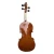 Import Best Brand Quality Violin China Fitness from China