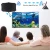 Import Best  Indoor TV Antenna High Quality BP-A26 Black Mini Digital TV Antenna Indoor from China