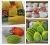 Import Best price plastic foam fruit packaging papaya packing elastic sleeve net from China