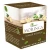 Import Best Quality Moringa Green Tea Bags from India
