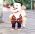 Import Best selling keep warm dog clothes polyester dog clothes style dog clothes from China