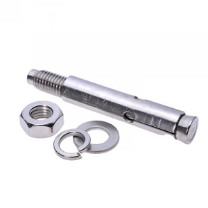 Stainless Steel 304 Expansion Wedge Anchor Bolt in Best Quality