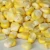 Import Bulk Packaging FD Meals Freeze Dried Vegetable Wholesale Dried Sweet Corn from China