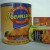 Import canned apricot in light syrup with competitive price from China