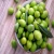 Import Canned Green Olives/Fresh Green Olives from USA