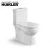 Import Ceramic sanitary ware toilet suite of jail watermark squat toilet from China