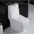 Import chaozhou Bathroom equipment Ceramic square one Piece  siphonic WC Toilet from China