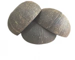 Cheap price Vietnam 100% organic coconut shell bowl finished coconut oil