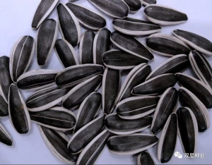 Chinese factory supply high quality sunflower seeds for commercial cultivation
