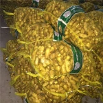 Chinese Fresh Ginger 150g up