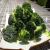 Import Chinese manufacturer supply frozen vegetables brands Frozen Steam Broccoli from China