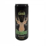 Chocolate Flavor Soft Drink 330ml