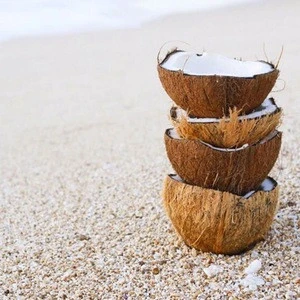 Coconut/ Matured Semi-Husked Coconut/ Fresh Coconut