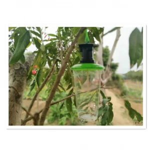 Come to Insect Brand Maufacturer Insect Killer Trap Bottle