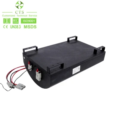Cts LiFePO4 Lithium Ion Battery Pack 48V 60V 72V 96V Lithium Battery for Electric Scooter