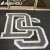 Import Custom logo digital printed rug from China