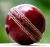 Import custom made top quality 2 piece hard ball custom color one day cricket cheap red from Pakistan