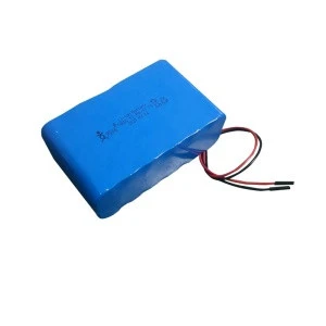 Customized 18650 11.1v 12v 13.4ah lithium ion li-ion battery packs for portable computer electronics