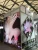 Import Customized exhibition equipment portable photo booth from China