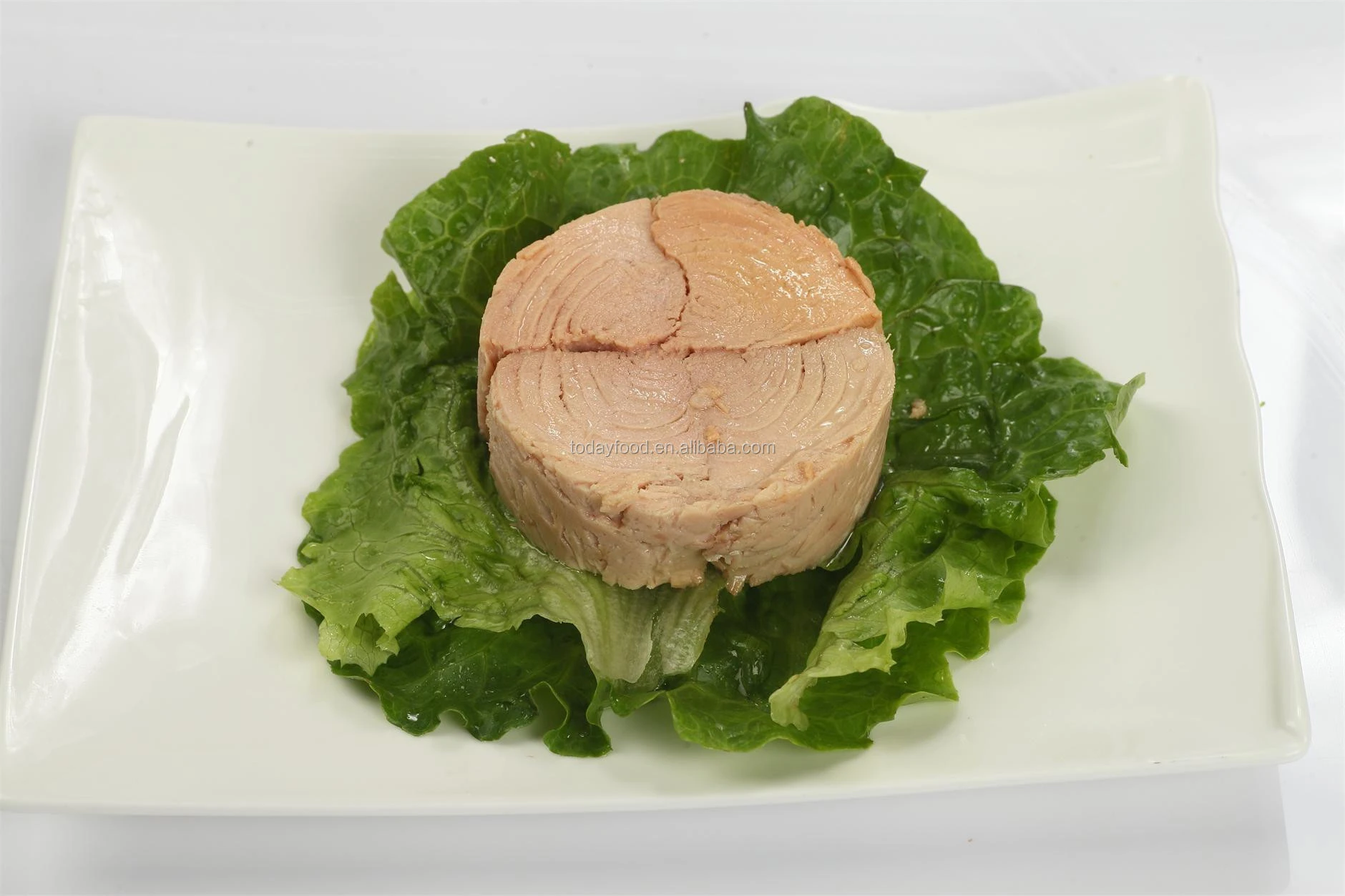 buy-customized-packaging-canned-tuna-fish-canned-tuna-from-ningbo-today