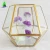 Import Decorative glass terrarium hood,geometric gold metal air plant holder terrarium from China