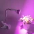 Import Desk Clip Lamp Holder Flexible Gooseneck E27 Socket with Switch for Lighting Home Office Basement Garden Plants from China