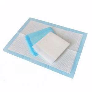 Disposable Waterproof Bed Mats Urine Puppy Pee Fast Absorbing Puppy Pet Dog Training Pads Diapers Pet Supplies Product