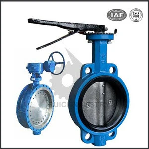DN200 Manual Stainless Steel Wafer Butterfly Valve