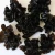 Import Dried Black tree ear Fungus Mushroom for sell from China