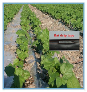 Drip irrigation agricultural products of north america