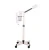 Import DT-318 Beauty Equipment steamer professional hair and Facial Steamer from China