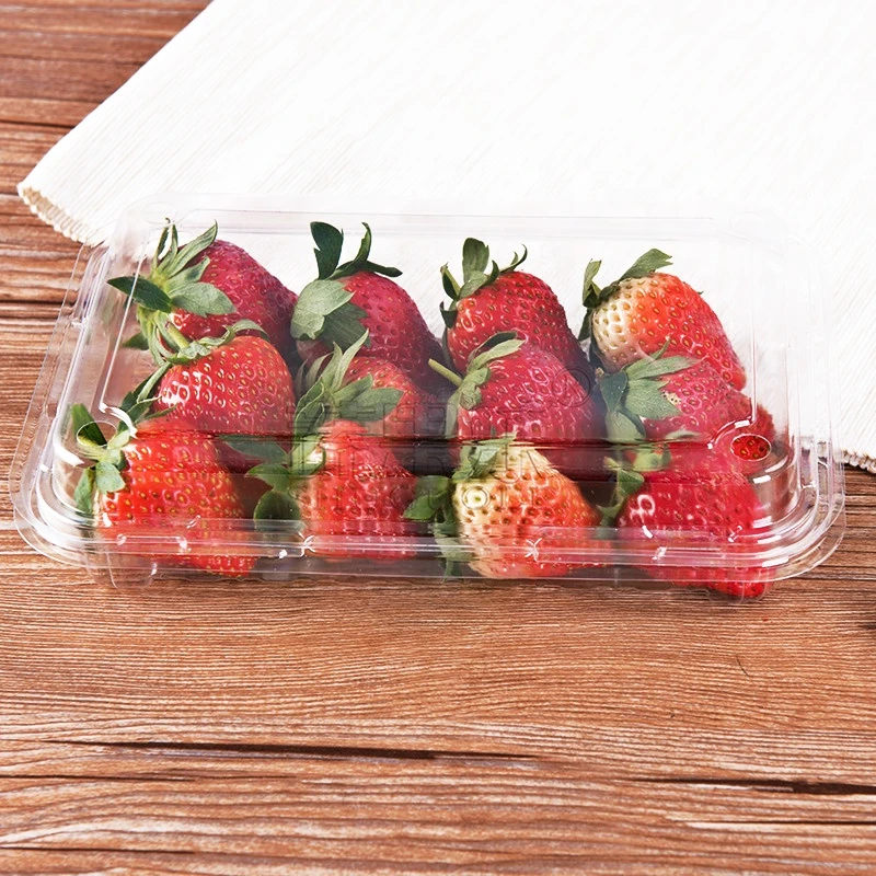 Eco Friendly Disposable PET Clear Plastic Fruit Strawberry Punnet Clamshell Fruit Packaging Container
