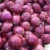 Import Export sales of artificial planting organic purple peel store big onion from China
